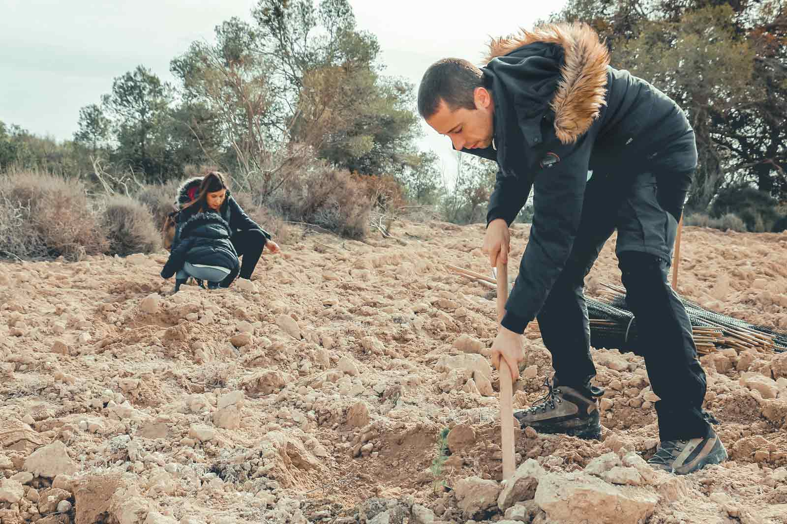 Dos personas trabajando en un campo rocoso, una cavando con un palo y la otra agachada cerca del suelo.