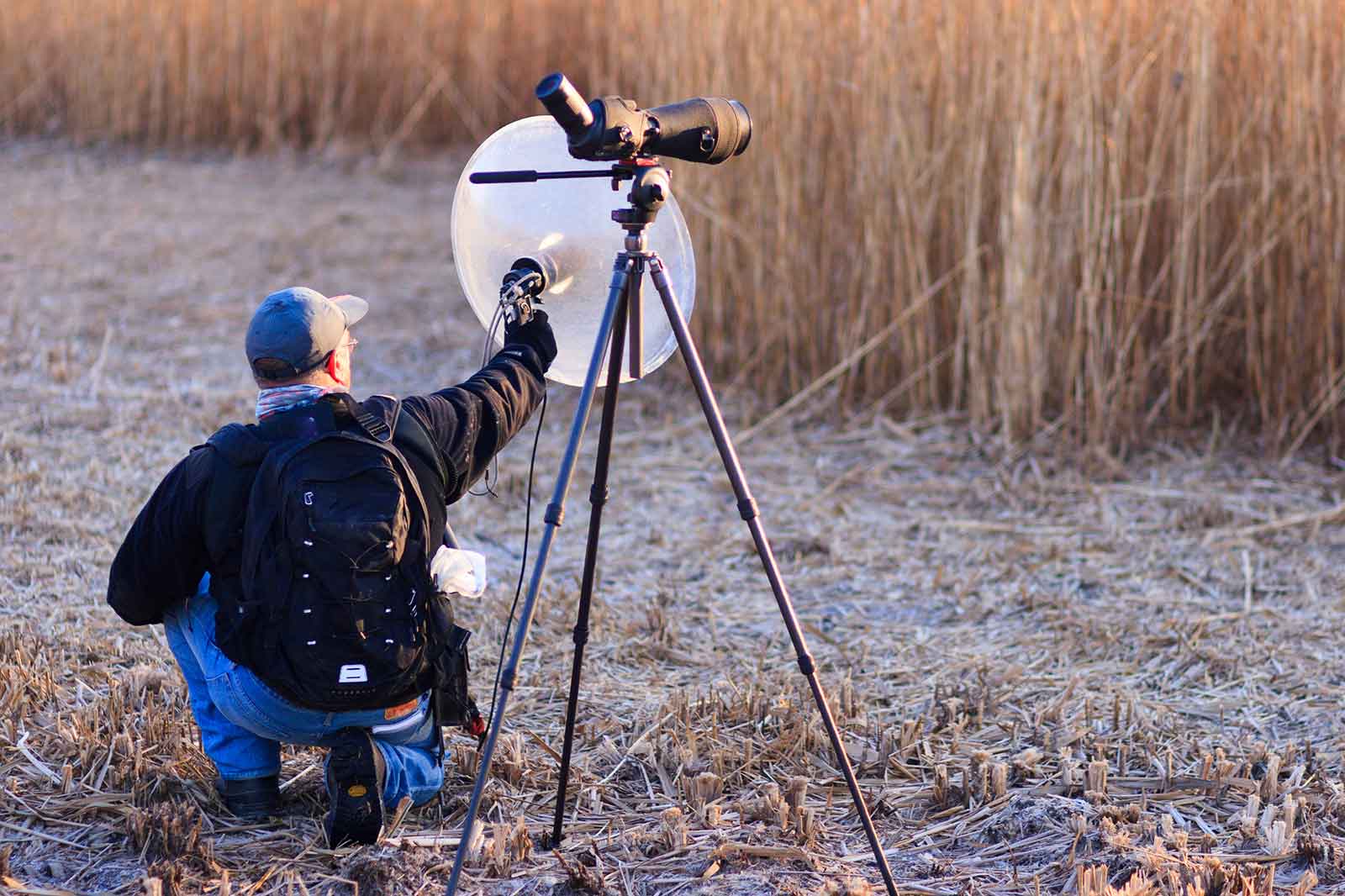 A person crouches by a tripod-mounted camera, aiming at wildlife in a field of tall grasses.